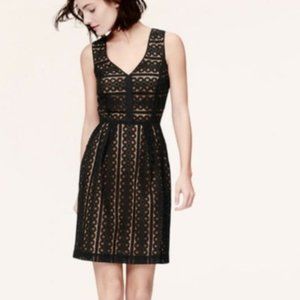 Loft black lace dress